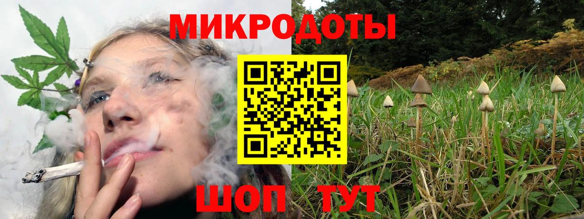 Лыткарино  Псилоцибиновые грибы Psilocybe  Вход с VPN 