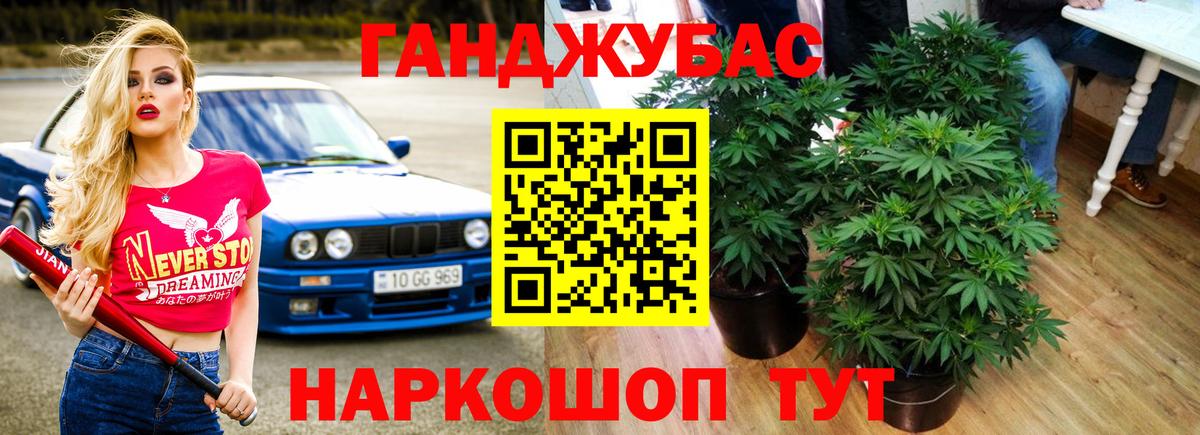 Конопля MAZAR  МАРИХУАНА планчик  Лыткарино  Вход с VPN 